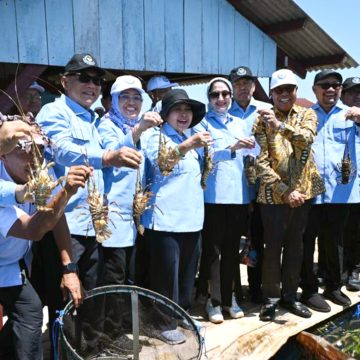 Titiek Soeharto Targetkan Indonesia Penghasil Lobster Dunia