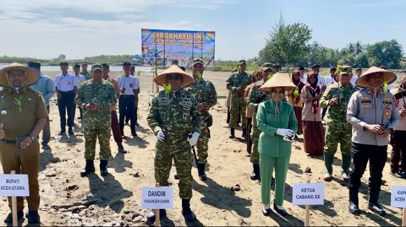 Cegah Abrasi di Aceh, Pelajar dan TNI Tanam 2.000 Mangrove