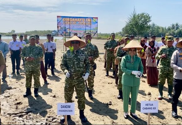 Cegah Abrasi di Aceh, Pelajar dan TNI Tanam 2.000 Mangrove