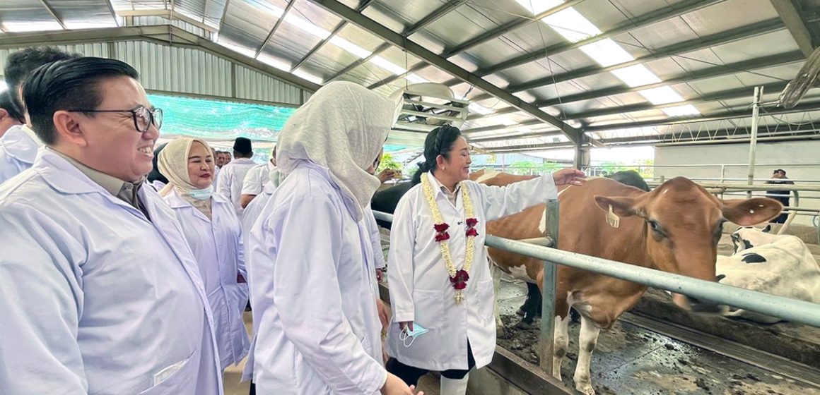 Pemerintah Targetkan Swasembada Susu Nasional Sapi Perah
