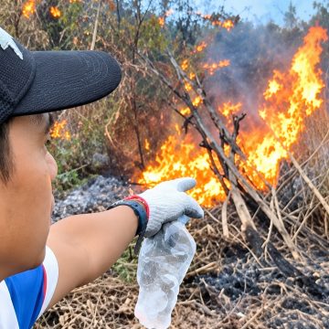 Anggota DPRD Mempawah Jadi Tersangka Pembakaran Lahan