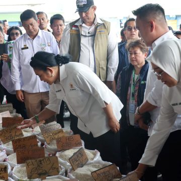Produksi Padi Naik, Stok Beras di Pasar Tetap Aman