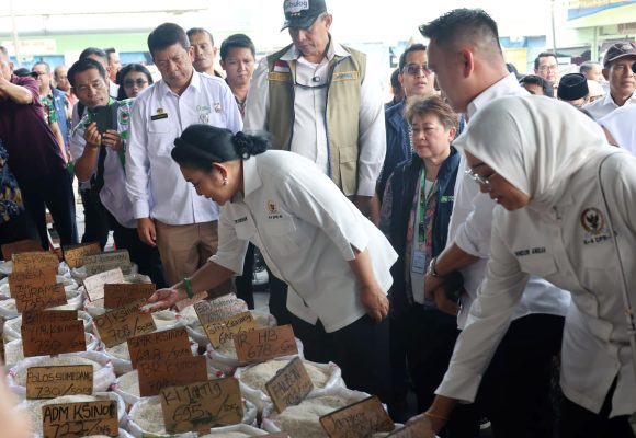 Produksi Padi Naik, Stok Beras di Pasar Tetap Aman