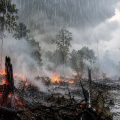 BMKG Berupaya Padamkan Karhutla Gunakan Teknologi Dry Ice