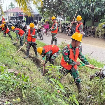 TNI Pulihkan Lahan Pertanian Pascabencana di Bireuen